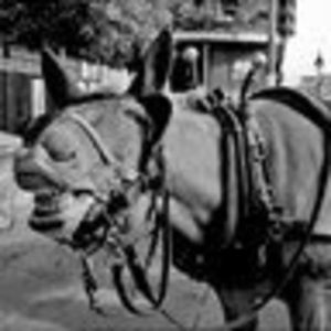 Meet your Posher, Phil